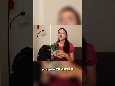 Cilantro en mi mochila #learnspanish #comprehensibleinput #spanishforbeginners - Learn Spanish with this beginner spanis